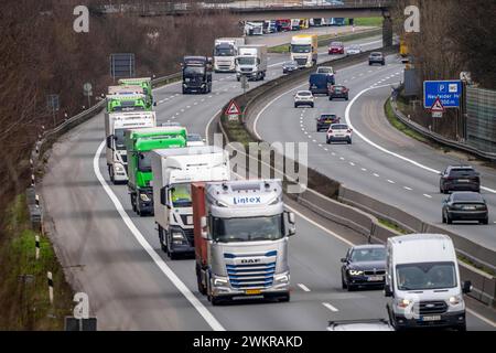 Dichter Verkehr, vor allem mit LKWs, auf der Autobahn A40 bei Rheurdt, am Rastplatz Neufelder Heide, wenige Kilometer vor der Grenze zu den Niederlanden, NRW, Deutschland, Autobahn A40 *** Schwerverkehr, hauptsächlich Lkw, auf der Autobahn A40 bei Rheurdt, an der Raststätte Neufelder Heide, wenige Kilometer vor der Grenze zu den Niederlanden, Nordrhein-Westfalen, Deutschland, Autobahn A40 Stockfoto