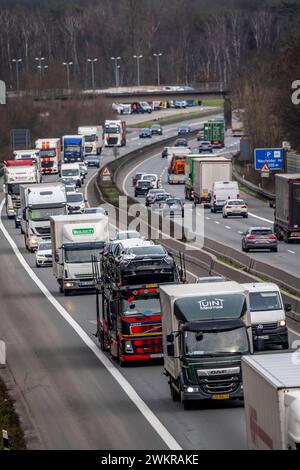 Dichter Verkehr, vor allem mit LKWs, auf der Autobahn A40 bei Rheurdt, am Rastplatz Neufelder Heide, wenige Kilometer vor der Grenze zu den Niederlanden, NRW, Deutschland, Autobahn A40 *** Schwerverkehr, hauptsächlich Lkw, auf der Autobahn A40 bei Rheurdt, an der Raststätte Neufelder Heide, wenige Kilometer vor der Grenze zu den Niederlanden, Nordrhein-Westfalen, Deutschland, Autobahn A40 Stockfoto