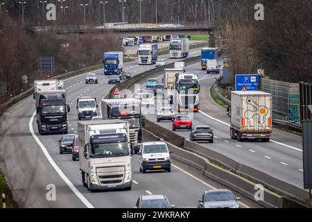 Dichter Verkehr, vor allem mit LKWs, auf der Autobahn A40 bei Rheurdt, am Rastplatz Neufelder Heide, wenige Kilometer vor der Grenze zu den Niederlanden, NRW, Deutschland, Autobahn A40 *** Schwerverkehr, hauptsächlich Lkw, auf der Autobahn A40 bei Rheurdt, an der Raststätte Neufelder Heide, wenige Kilometer vor der Grenze zu den Niederlanden, Nordrhein-Westfalen, Deutschland, Autobahn A40 Stockfoto