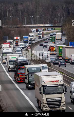 Dichter Verkehr, vor allem mit LKWs, auf der Autobahn A40 bei Rheurdt, am Rastplatz Neufelder Heide, wenige Kilometer vor der Grenze zu den Niederlanden, NRW, Deutschland, Autobahn A40 *** Schwerverkehr, hauptsächlich Lkw, auf der Autobahn A40 bei Rheurdt, an der Raststätte Neufelder Heide, wenige Kilometer vor der Grenze zu den Niederlanden, Nordrhein-Westfalen, Deutschland, Autobahn A40 Stockfoto