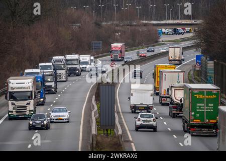 Dichter Verkehr, vor allem mit LKWs, auf der Autobahn A40 bei Rheurdt, am Rastplatz Neufelder Heide, wenige Kilometer vor der Grenze zu den Niederlanden, NRW, Deutschland, Autobahn A40 *** Schwerverkehr, hauptsächlich Lkw, auf der Autobahn A40 bei Rheurdt, an der Raststätte Neufelder Heide, wenige Kilometer vor der Grenze zu den Niederlanden, Nordrhein-Westfalen, Deutschland, Autobahn A40 Stockfoto