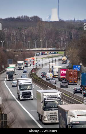 Dichter Verkehr, vor allem mit LKWs, auf der Autobahn A40 bei Rheurdt, am Rastplatz Neufelder Heide, wenige Kilometer vor der Grenze zu den Niederlanden, NRW, Deutschland, Autobahn A40 *** Schwerverkehr, hauptsächlich Lkw, auf der Autobahn A40 bei Rheurdt, an der Raststätte Neufelder Heide, wenige Kilometer vor der Grenze zu den Niederlanden, Nordrhein-Westfalen, Deutschland, Autobahn A40 Stockfoto