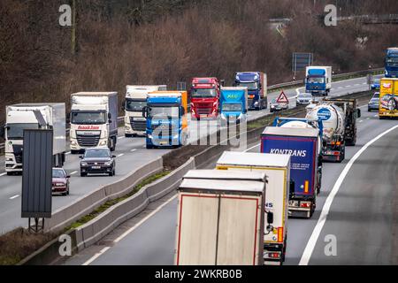 Dichter Verkehr, vor allem mit LKWs, auf der Autobahn A40 bei Rheurdt, am Rastplatz Neufelder Heide, wenige Kilometer vor der Grenze zu den Niederlanden, NRW, Deutschland, Autobahn A40 *** Schwerverkehr, hauptsächlich Lkw, auf der Autobahn A40 bei Rheurdt, an der Raststätte Neufelder Heide, wenige Kilometer vor der Grenze zu den Niederlanden, Nordrhein-Westfalen, Deutschland, Autobahn A40 Stockfoto