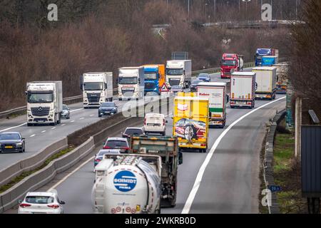 Dichter Verkehr, vor allem mit LKWs, auf der Autobahn A40 bei Rheurdt, am Rastplatz Neufelder Heide, wenige Kilometer vor der Grenze zu den Niederlanden, NRW, Deutschland, Autobahn A40 *** Schwerverkehr, hauptsächlich Lkw, auf der Autobahn A40 bei Rheurdt, an der Raststätte Neufelder Heide, wenige Kilometer vor der Grenze zu den Niederlanden, Nordrhein-Westfalen, Deutschland, Autobahn A40 Stockfoto