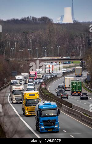 Dichter Verkehr, vor allem mit LKWs, auf der Autobahn A40 bei Rheurdt, am Rastplatz Neufelder Heide, wenige Kilometer vor der Grenze zu den Niederlanden, NRW, Deutschland, Autobahn A40 *** Schwerverkehr, hauptsächlich Lkw, auf der Autobahn A40 bei Rheurdt, an der Raststätte Neufelder Heide, wenige Kilometer vor der Grenze zu den Niederlanden, Nordrhein-Westfalen, Deutschland, Autobahn A40 Stockfoto