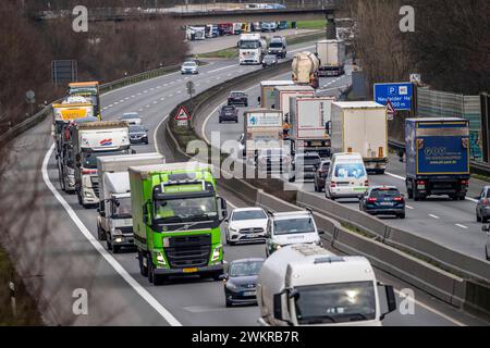 Dichter Verkehr, vor allem mit LKWs, auf der Autobahn A40 bei Rheurdt, am Rastplatz Neufelder Heide, wenige Kilometer vor der Grenze zu den Niederlanden, NRW, Deutschland, Autobahn A40 *** Schwerverkehr, hauptsächlich Lkw, auf der Autobahn A40 bei Rheurdt, an der Raststätte Neufelder Heide, wenige Kilometer vor der Grenze zu den Niederlanden, Nordrhein-Westfalen, Deutschland, Autobahn A40 Stockfoto