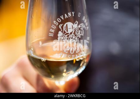 Hrusovany u Brna, Tschechische Republik - 17.2,2024: Weingläser für Weindegustation aus der Stadt Hrusovany u Brna. Text über Glas: Hrusovany u Brna, 2 Stockfoto