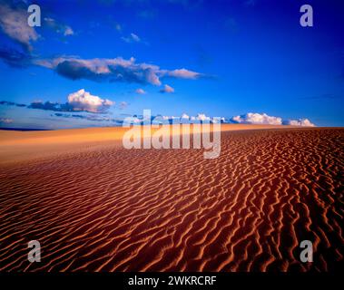 Wanderdünen in den Abend, Maspalomas, Gran Canaria, Spanien Stockfoto