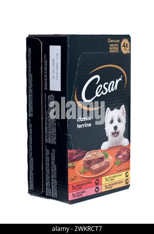 Packung mit 4 Stück Cesar Classic Terrine Komplettfutter für Hunde Stockfoto