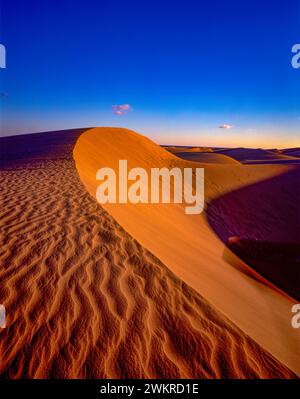 Wanderdünen in den Abend, Maspalomas, Gran Canaria, Spanien Stockfoto