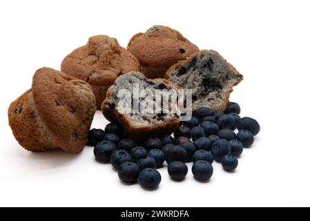 Heidelbeermuffins und Heidelbeeren isoliert auf weißem Hintergrund. Stockfoto