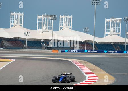 Sakhir, Bahrain. Februar 2024. 21. Februar 2024, Bahrain International Circuit, Sakhir, Formel-1-Testfahrten in Bahrain 2023, im Bild Logan Sargeant (USA), Williams Racing Credit: dpa/Alamy Live News Stockfoto