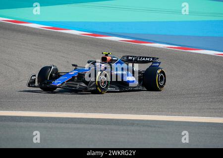 Sakhir, Bahrain. Februar 2024. 21. Februar 2024, Bahrain International Circuit, Sakhir, Formel-1-Testfahrten in Bahrain 2023, im Bild Logan Sargeant (USA), Williams Racing Credit: dpa/Alamy Live News Stockfoto