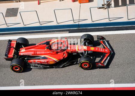 Sakhir, Bahrain. Februar 2024. 21. Februar 2024, Bahrain International Circuit, Sakhir, Formel-1-Testfahrten in Bahrain 2023, im Bild Charles Leclerc (MCO), Scuderia Ferrari Credit: dpa/Alamy Live News Stockfoto