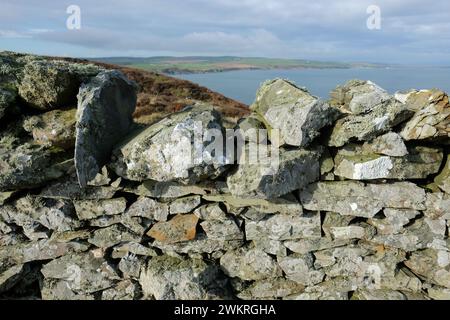 Mull of Galloway Trockenmauer mit Flechten am südlichsten Punkt Scotlands im Februar 2024 Stockfoto