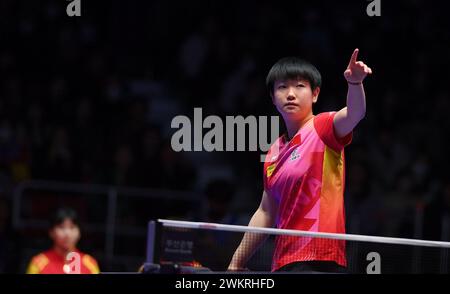 Busan, Südkorea. Februar 2024. Sun Yingsha aus China reagierte im Viertelfinale der Frauen beim Finale der ITTF World Team Table Tennis Championships Busan 2024 in Busan, Südkorea, 22. Februar 2024. Quelle: Tao Xiyi/Xinhua/Alamy Live News Stockfoto