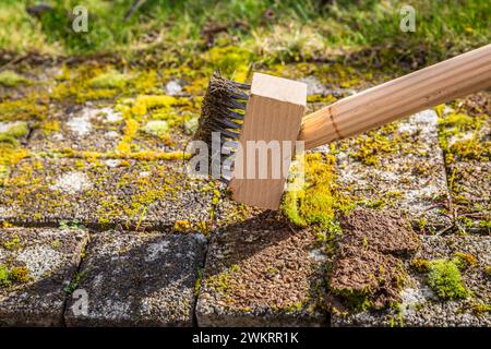 Entfernen und Kratzen von Moos aus Pflastersteinen, Reinigen von Terrasse und Terrasse Stockfoto