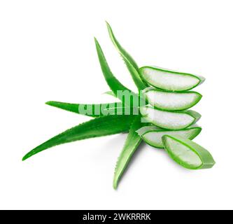 Schneiden Sie Aloe Vera Blätter isoliert auf weiß Stockfoto