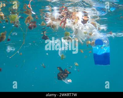 Unterwasseransicht zur Verschmutzung des Ozeans mit Kunststoff (Kanarische Inseln, Spanien) Stockfoto