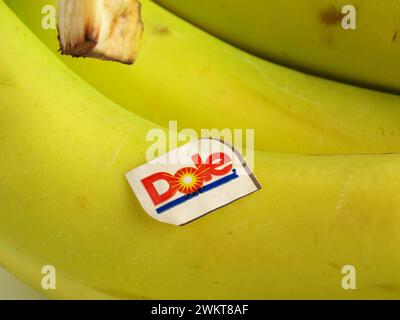 Dole Bananas Logo und Symbol Stockfoto