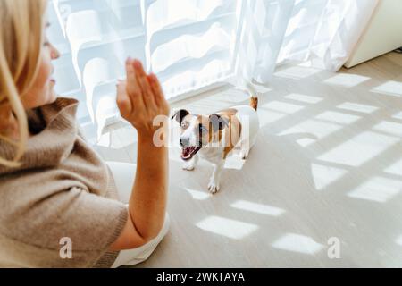 jack Russel Hund genießt Rubs von seinem älteren Besitzer, der zu Hause zusammen auf der Couch sitzt, fokussiert auf den Vordergrund, Kopierraum Stockfoto