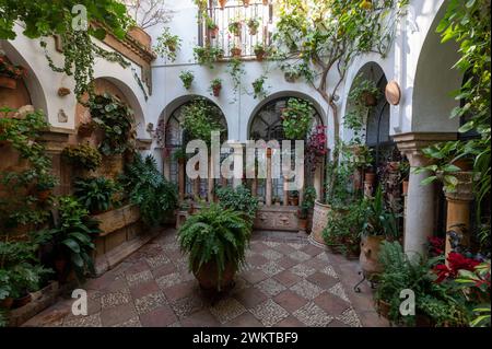 Einer der vielen kleineren Innenhöfe, die „Patios“ genannt werden, mit seinen umliegenden Wänden, die mit hängenden Blumentöpfen und anderen Pflanzen in Cordoba in Andalusien gefüllt sind; Stockfoto