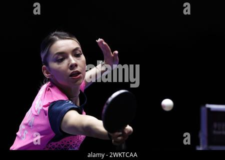 Busan, Südkorea. Februar 2024. Bernadette Szocs aus Rumänien kehrt den Ball an Ito Mima aus Japan zurück, während des Viertelfinales der Damenmannschaft beim Finale der ITTF Team Table Tennis Championships Busan 2024 in Busan, Südkorea, 22. Februar 2024. Quelle: Zhang Tao/Xinhua/Alamy Live News Stockfoto