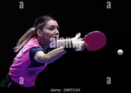 Busan, Südkorea. Februar 2024. Bernadette Szocs aus Rumänien kehrt den Ball an Ito Mima aus Japan zurück, während des Viertelfinales der Damenmannschaft beim Finale der ITTF Team Table Tennis Championships Busan 2024 in Busan, Südkorea, 22. Februar 2024. Quelle: Zhang Tao/Xinhua/Alamy Live News Stockfoto