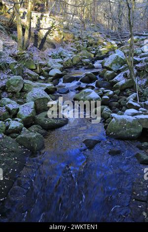 Winteransicht der alten Wälder in Padley Gorge in der Nähe von Grindleford Village, Peak District National Park, Derbyshire, England, Großbritannien Stockfoto