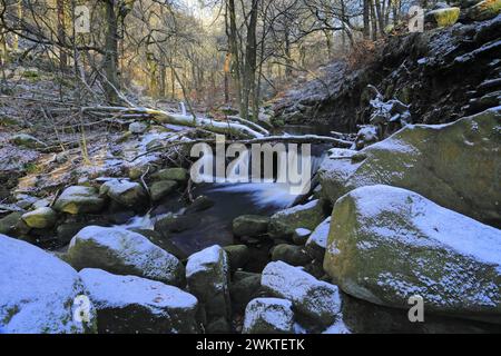 Winteransicht der alten Wälder in Padley Gorge in der Nähe von Grindleford Village, Peak District National Park, Derbyshire, England, Großbritannien Stockfoto