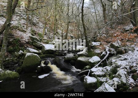 Winteransicht der alten Wälder in Padley Gorge in der Nähe von Grindleford Village, Peak District National Park, Derbyshire, England, Großbritannien Stockfoto