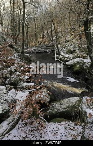 Winteransicht der alten Wälder in Padley Gorge in der Nähe von Grindleford Village, Peak District National Park, Derbyshire, England, Großbritannien Stockfoto