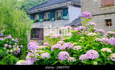 In diesem charmanten Viertel Shimoda in der Präfektur Shizuoka, Japan, liegt die Perry Road. Stockfoto