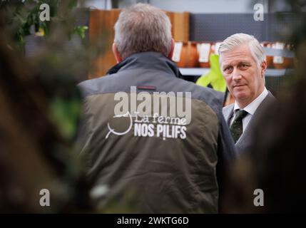 Brüssel, Belgien Februar 2024. König Philippe - Filip von Belgien, Bild bei einem königlichen Besuch der Ferme nos Pilifs in Neder-over-Heembeek, Brüssel, Donnerstag, den 22. Februar 2024. La Ferme Nos Pilifs ist eine geschützte Werkstatt oder ein Unternehmen für angepasste Arbeiten auf einem Bauernhof. Mehr als 140 Menschen mit geistiger Behinderung arbeiten auf dem Bauernhof und in den Einrichtungen. BELGA FOTO BENOIT DOPPAGNE Credit: Belga News Agency/Alamy Live News Stockfoto