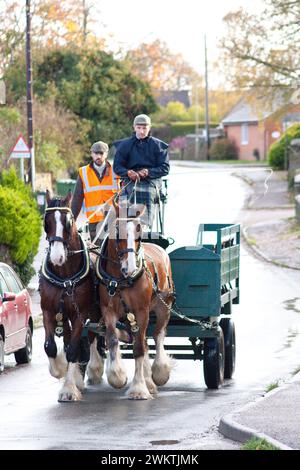 Hook Norton Brewery Horses deliving Beer to the local Pubs Hook Norton Oxfordshire England uk Stockfoto