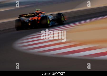 04 NORRIS Lando (gbr), McLaren F1 Team MCL38, Action während der Formel 1 Aramco Vorsaisontests 2024 der FIA Formel 1 Weltmeisterschaft 2024 vom 21. Bis 23. Februar 2024 auf dem Bahrain International Circuit in Sakhir, Bahrain - Foto DPPI Stockfoto