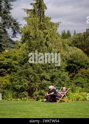 Ein älteres Paar sitzt in Liegestühlen und genießt die Sonne in einem Garten auf der rechten Seite. UK Stockfoto