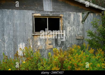 Äußere Holzwand eines alten verlassenen Hauses mit dem Wort Leo auf der Oberfläche. Stockfoto
