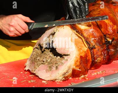 Hand in einem Handschuh Porchetta eine würzige italienische Schweinesalume Stockfoto