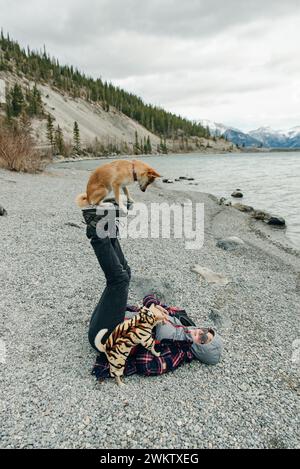 der zirkushund steht auf den Füßen des Besitzers. Hundestücke. Hochwertiges Foto Stockfoto