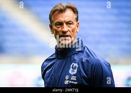 Decines Charpieu, Frankreich. Februar 2024. © Matthieu Mirville/MAXPPP - Decines-Charpieu 22/02/2024 Herve RENARD von Frankreich während des Trainings vor dem Halbfinale der letzten vier der Women's Nations League im Groupama Stadium am 22. Februar 2024 in Decines-Charpieu bei Lyon, Frankreich. Quelle: MAXPPP/Alamy Live News Stockfoto