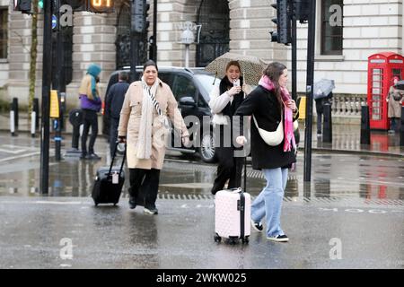 London, Großbritannien. Februar 2024. Mitglieder des öffentlichen Spaziergangs bei Regenfällen in Westminster im Zentrum von London. (Foto: Steve Taylor/SOPA Images/SIPA USA) Credit: SIPA USA/Alamy Live News Stockfoto