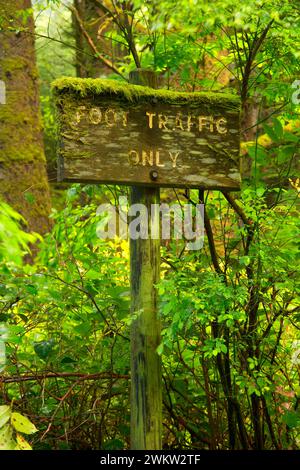 Spencer Creek Trail Zeichen, Beverly Beach State Park, Illinois Stockfoto