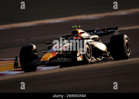 Sakhir, Bahrain. Februar 2024. 11 PEREZ Sergio (mex), Red Bull Racing RB20, Action während der Formel 1 Aramco Vorsaisontests 2024 der FIA Formel 1 Weltmeisterschaft 2024 vom 21. Bis 23. Februar 2024 auf dem Bahrain International Circuit in Sakhir, Bahrain – Foto DPPI F1 Vorsaison-Tests in Bahrain auf dem Bahrain International Circuit am 22. Februar 2024 in Sakhir, Bahrain. (Foto von HOCH ZWEI) Credit: dpa/Alamy Live News Stockfoto
