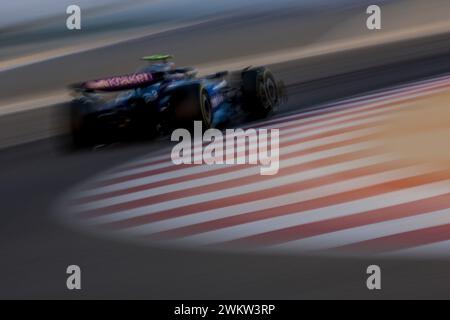 Sakhir, Bahrain. Februar 2024. 02 SARGEANT Logan (usa), Williams Racing FW46, Action während der Formel 1 Aramco Vorsaisontests 2024 der FIA Formel 1 Weltmeisterschaft 2024 vom 21. Bis 23. Februar 2024 auf dem Bahrain International Circuit in Sakhir, Bahrain – Foto DPPI F1 Vorsaison-Tests in Bahrain auf dem Bahrain International Circuit am 22. Februar 2024 in Sakhir, Bahrain. (Foto von HOCH ZWEI) Credit: dpa/Alamy Live News Stockfoto