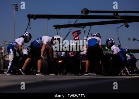 Sakhir, Bahrain. Februar 2024. 22 TSUNODA Yuki (JAP), Visa Cash App RB F1 Team VCARB 01, Action während der Formel 1 Aramco Vorsaisontests 2024 der FIA Formel 1 Weltmeisterschaft 2024 vom 21. Bis 23. Februar 2024 auf dem Bahrain International Circuit in Sakhir, Bahrain – Foto DPPI F1 Vorsaison-Tests in Bahrain auf dem Bahrain International Circuit am 22. Februar 2024 in Sakhir, Bahrain. (Foto von HOCH ZWEI) Credit: dpa/Alamy Live News Stockfoto