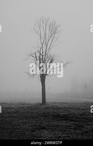 Schwarzweißbild dominiert von Nebel Stockfoto