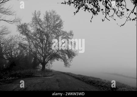 Schwarzweißbild dominiert von Nebel Stockfoto