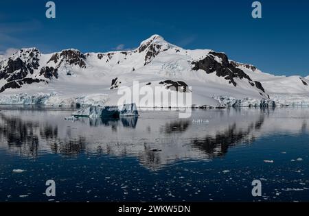 Paradise Bay - Antarktis 15/01/2024 Credit: Ian Jacobs Stockfoto