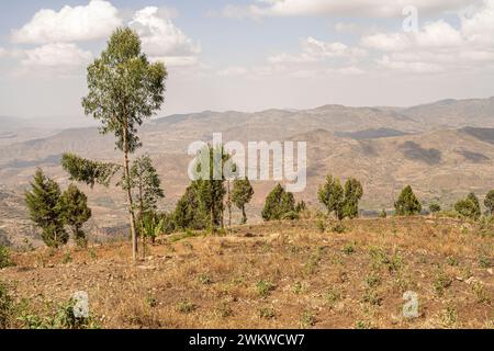 Im Hochland von Abessinien, Dorf in den Semien Mountains, Straßenszene, Äthiopien Stockfoto